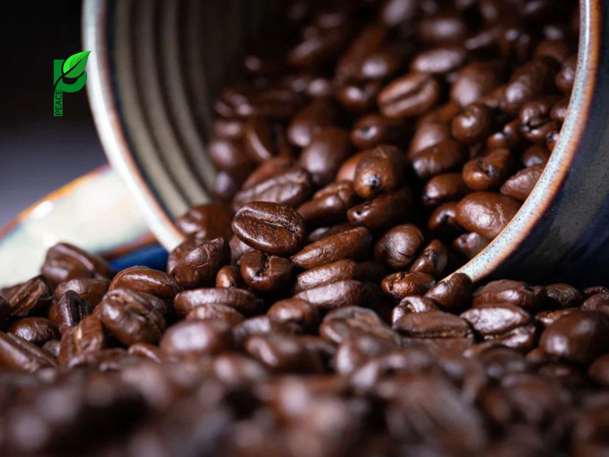 Cà Phê Decaf Dành Cho Ai