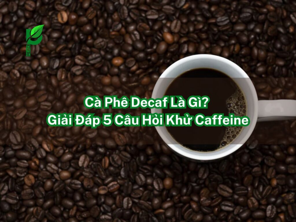 Cà Phê Decaf Là Gì_ Giải Đáp 5 Câu Hỏi Khử Caffeine