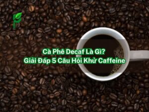 Cà Phê Decaf Là Gì_ Giải Đáp 5 Câu Hỏi Khử Caffeine