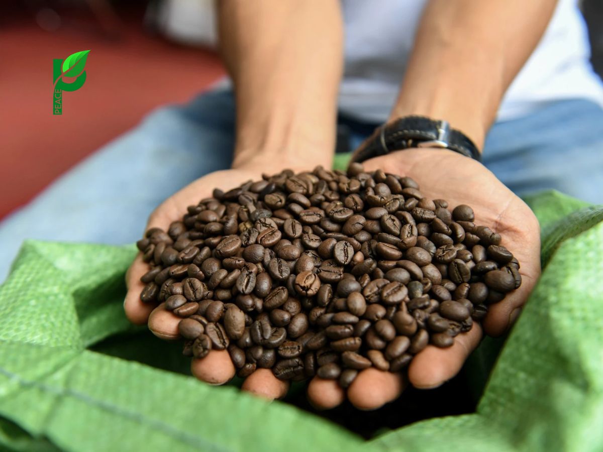 Cà Phê Hữu Cơ Là Gì