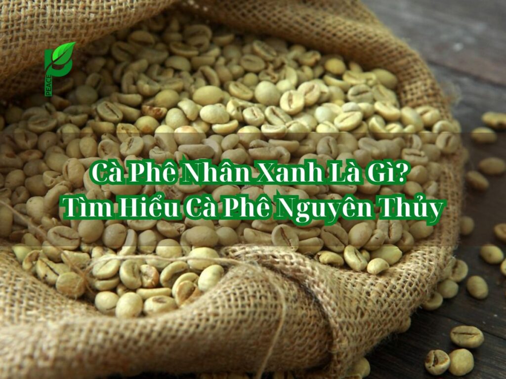 Cà Phê Nhân Xanh Là Gì_ Tìm Hiểu Cà Phê Nguyên Thủy