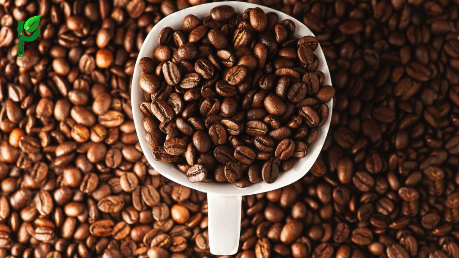 Ca-phe-Arabica