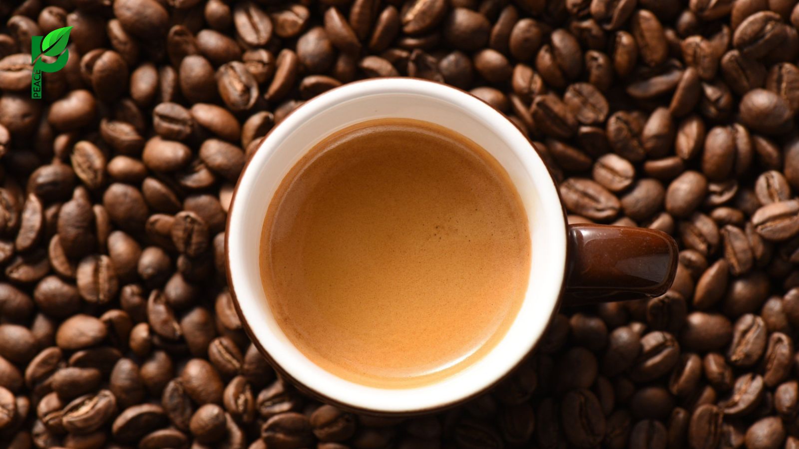 Ca-phe-Robusta