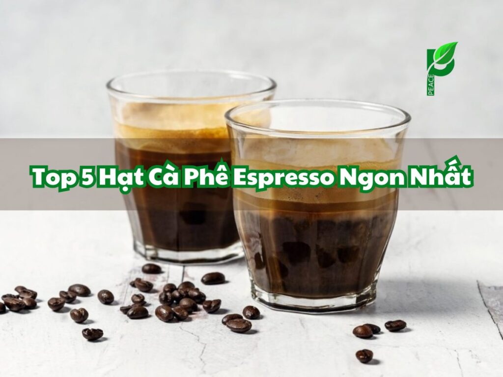 Top 5 Hạt Cà Phê Espresso Ngon Nhất