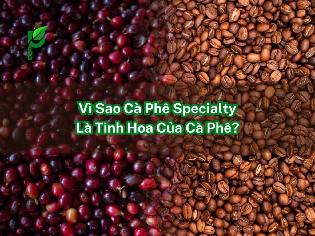 Vì Sao Cà Phê Specialty Là Tinh Hoa Của Cà Phê