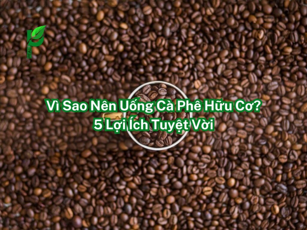 Vì Sao Nên Uống Cà Phê Hữu Cơ_ 5 Lợi Ích Tuyệt Vời