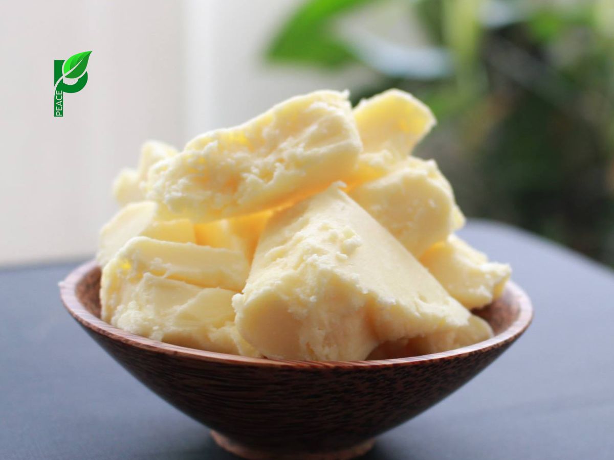 Bơ Cacao Đối Với Sức Khỏe