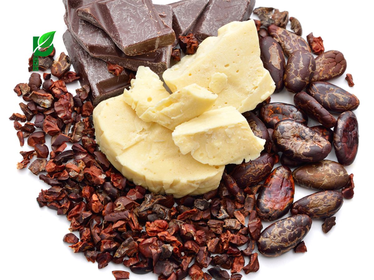 Bơ Cacao Nguyên Chất