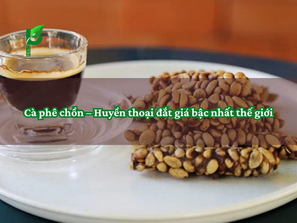 Cà phê chồn – Huyền thoại đắt giá bậc nhất thế giới