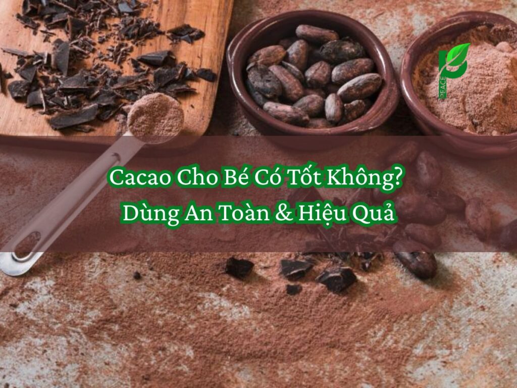 Cacao Cho Bé Có Tốt Không_ Dùng An Toàn & Hiệu Quả