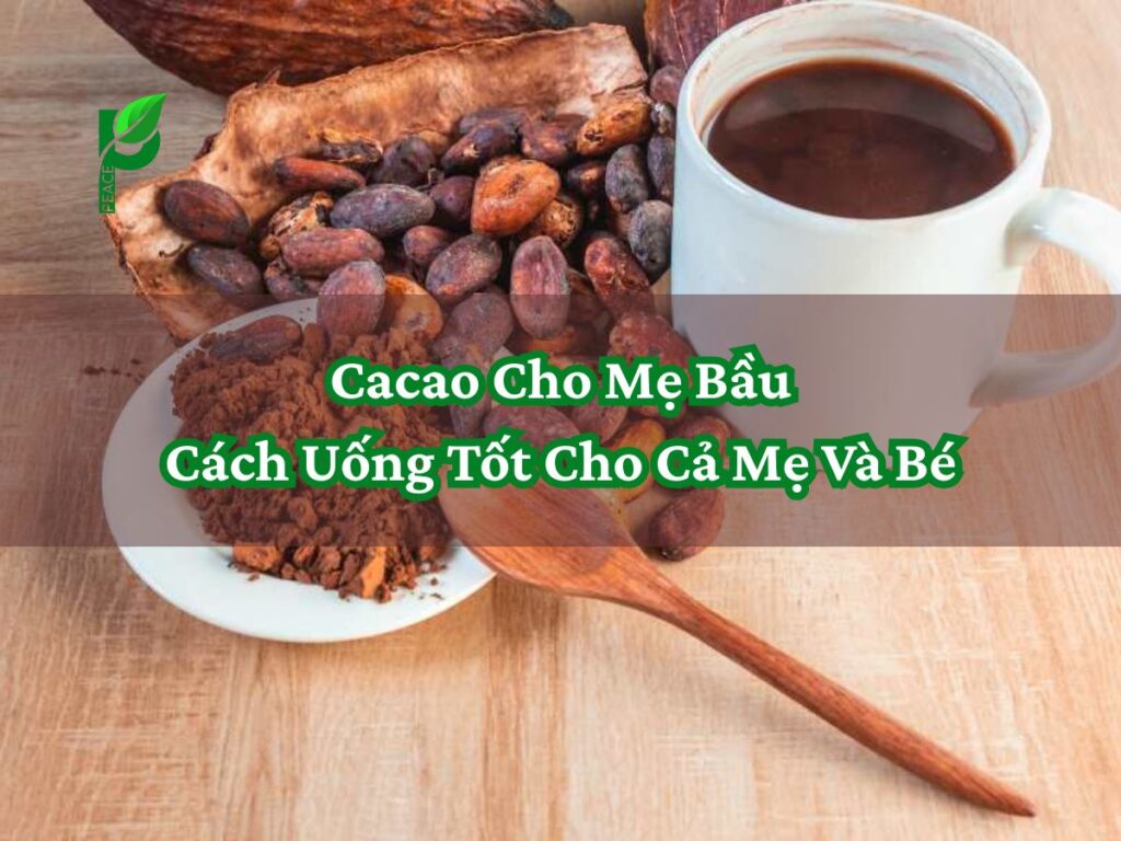 Cacao Cho Mẹ Bầu Cách Uống Tốt Cho Cả Mẹ Và Bé