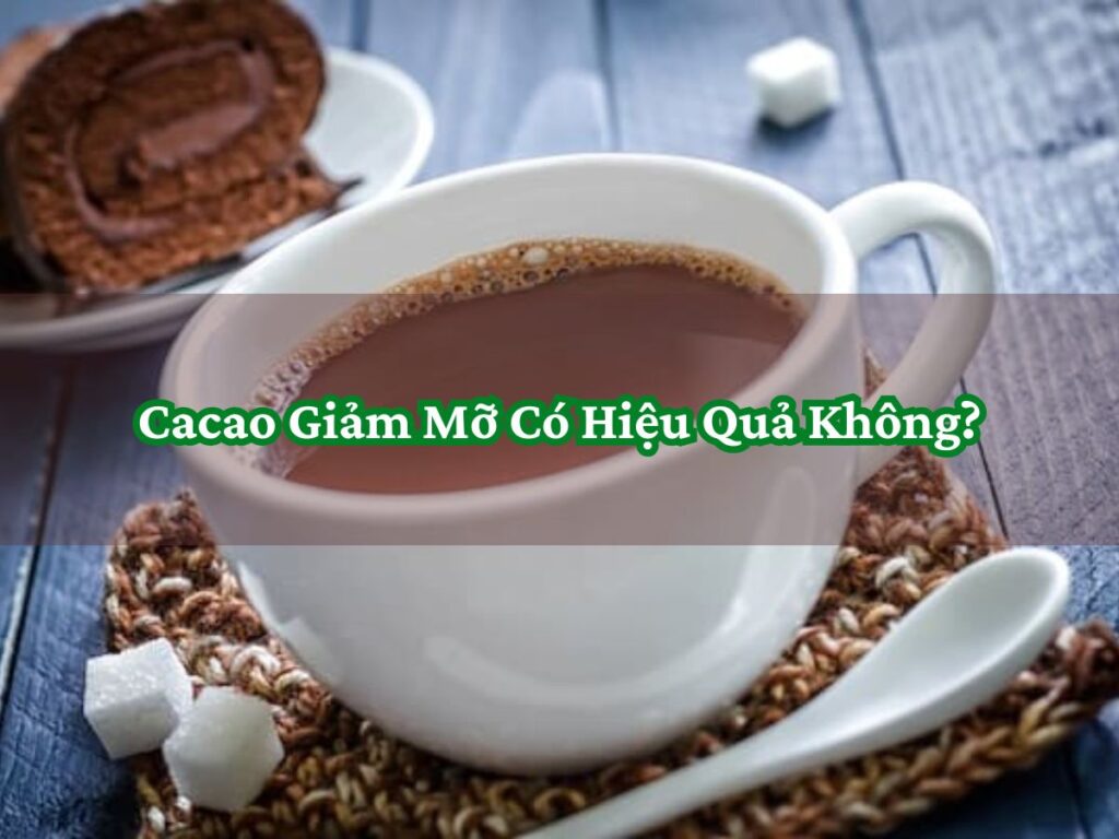 Cacao Giảm Mỡ Có Hiệu Quả Không