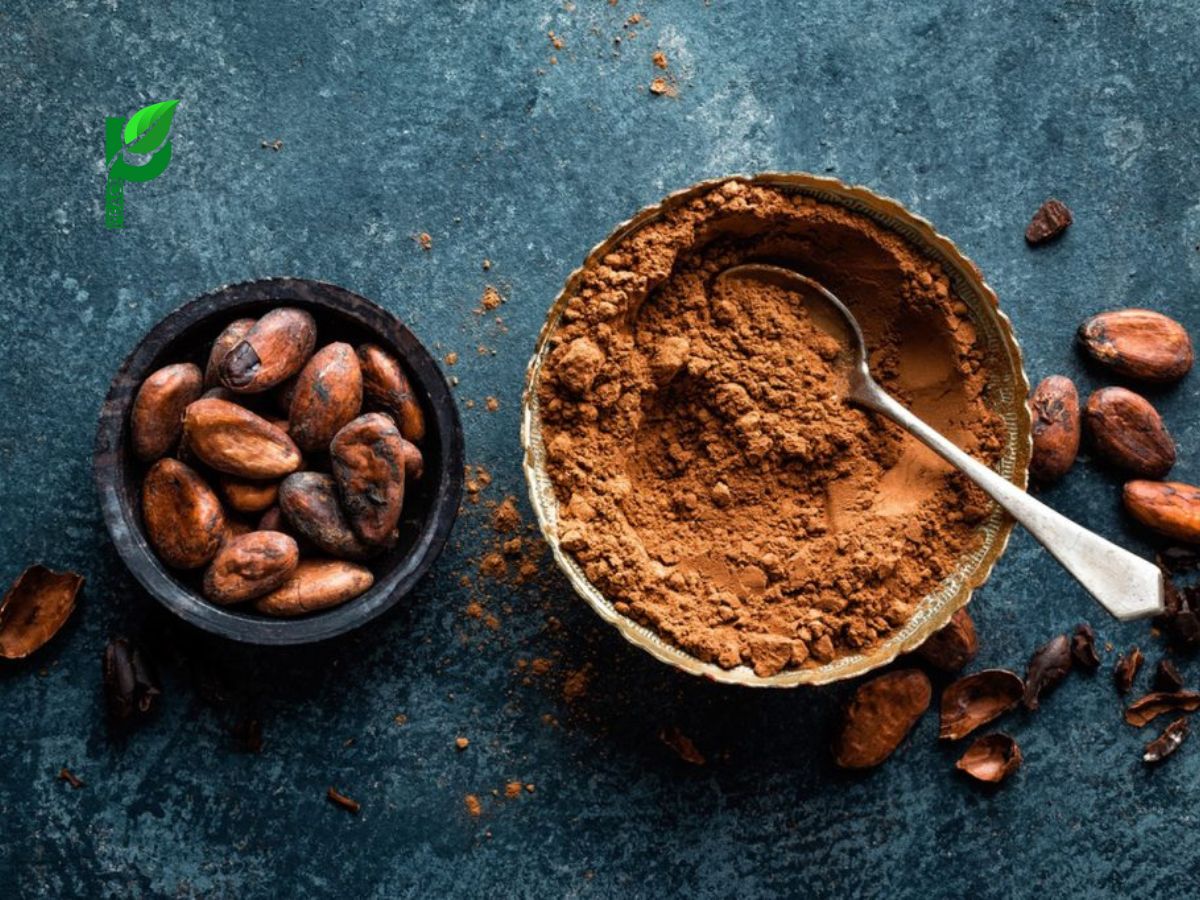 Cacao Giúp Cải Thiện Tâm Trạng Và Giảm Căng Thẳng