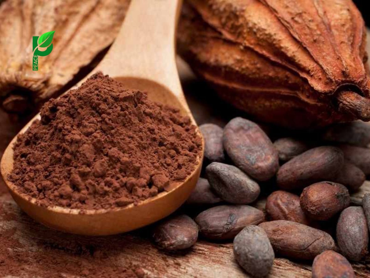Cacao nguyên chất