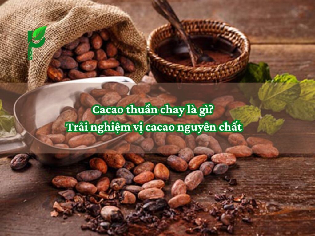Cacao thuần chay là gì_ Trải nghiệm vị cacao nguyên chất