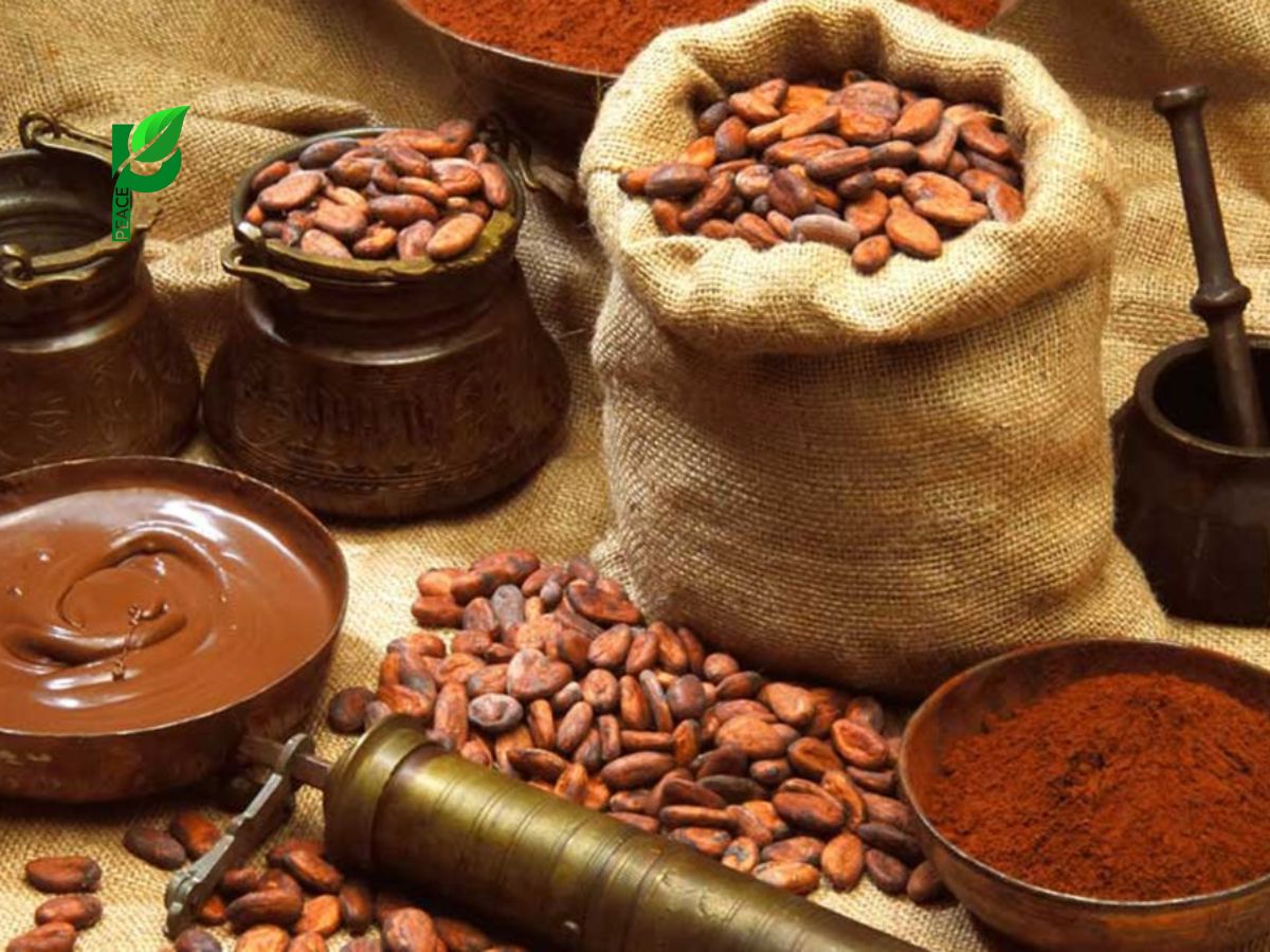 Cacao thuần chay