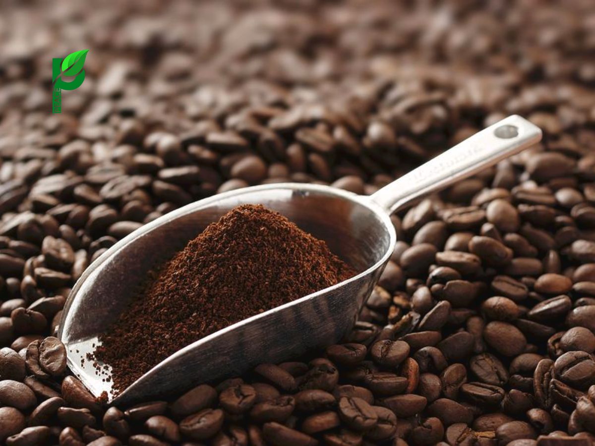 Cách nhận biết hạt cafe sạch khi mua