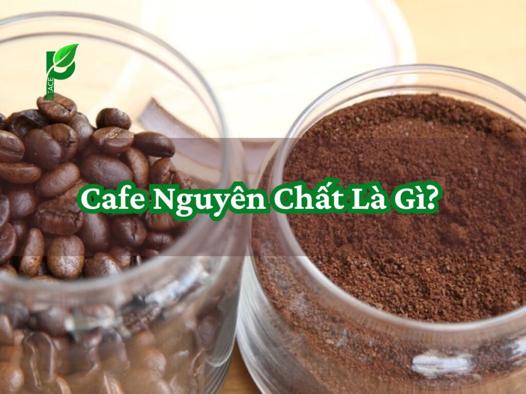 Cafe Nguyên Chất Là Gì