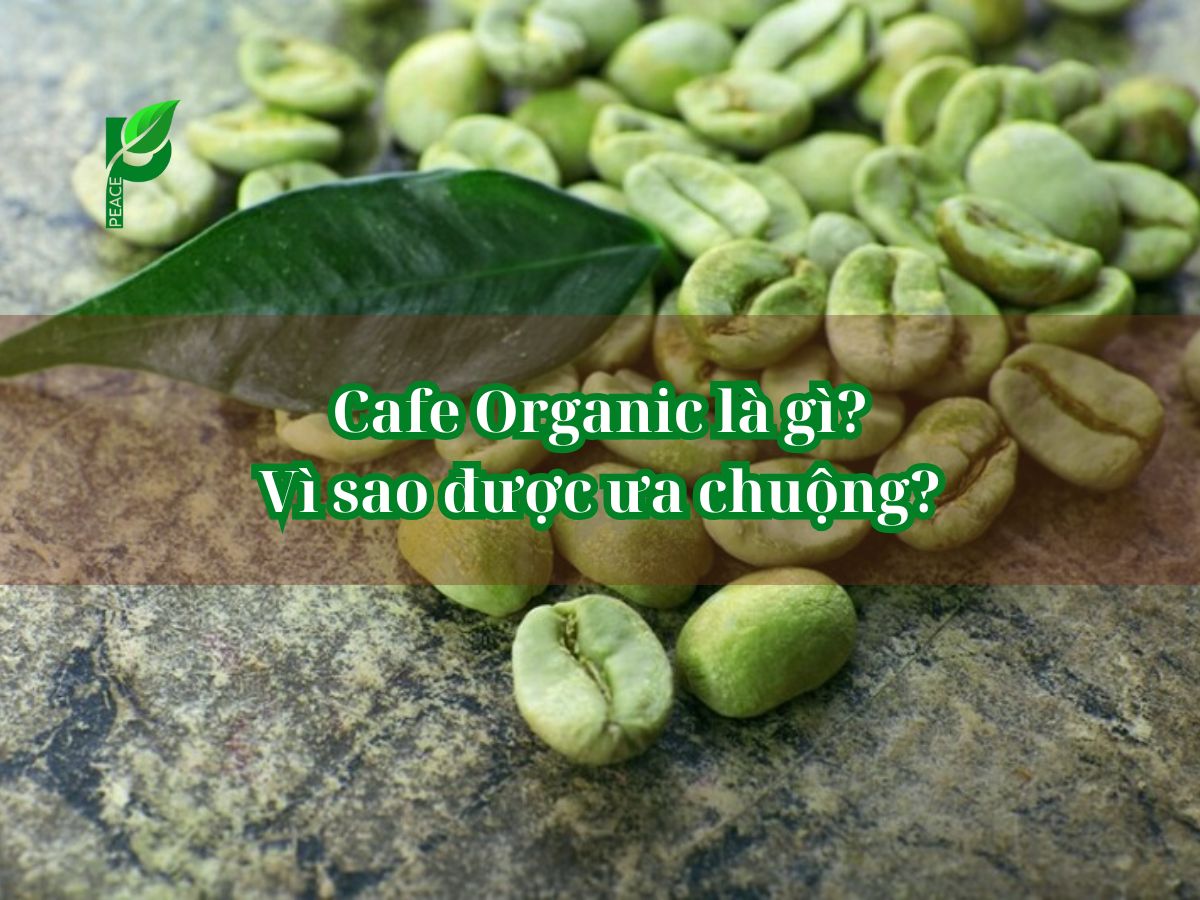 Tìm hiểu về cà phê organic là gì