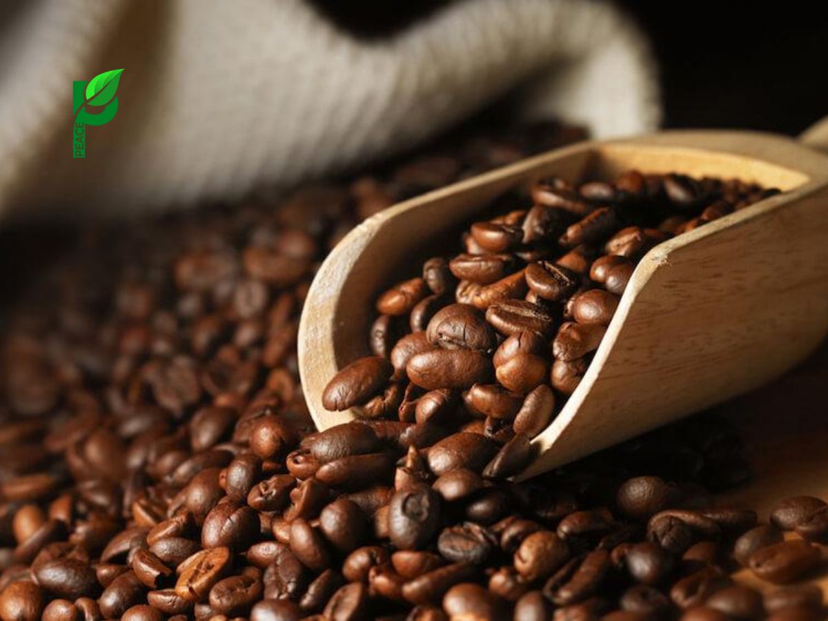 Cafe gu đậm nguyên chất, chuẩn vị người Việt