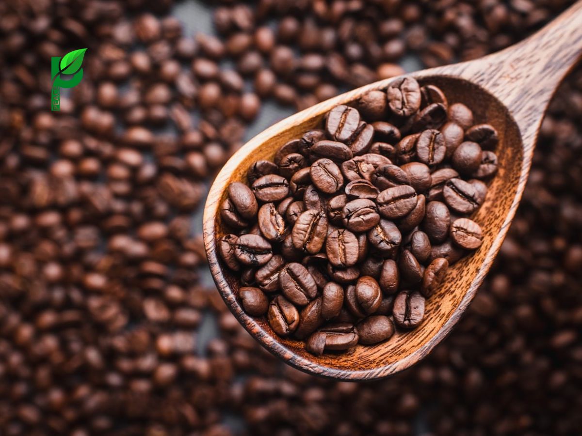 Hạt cafe sạch là gì