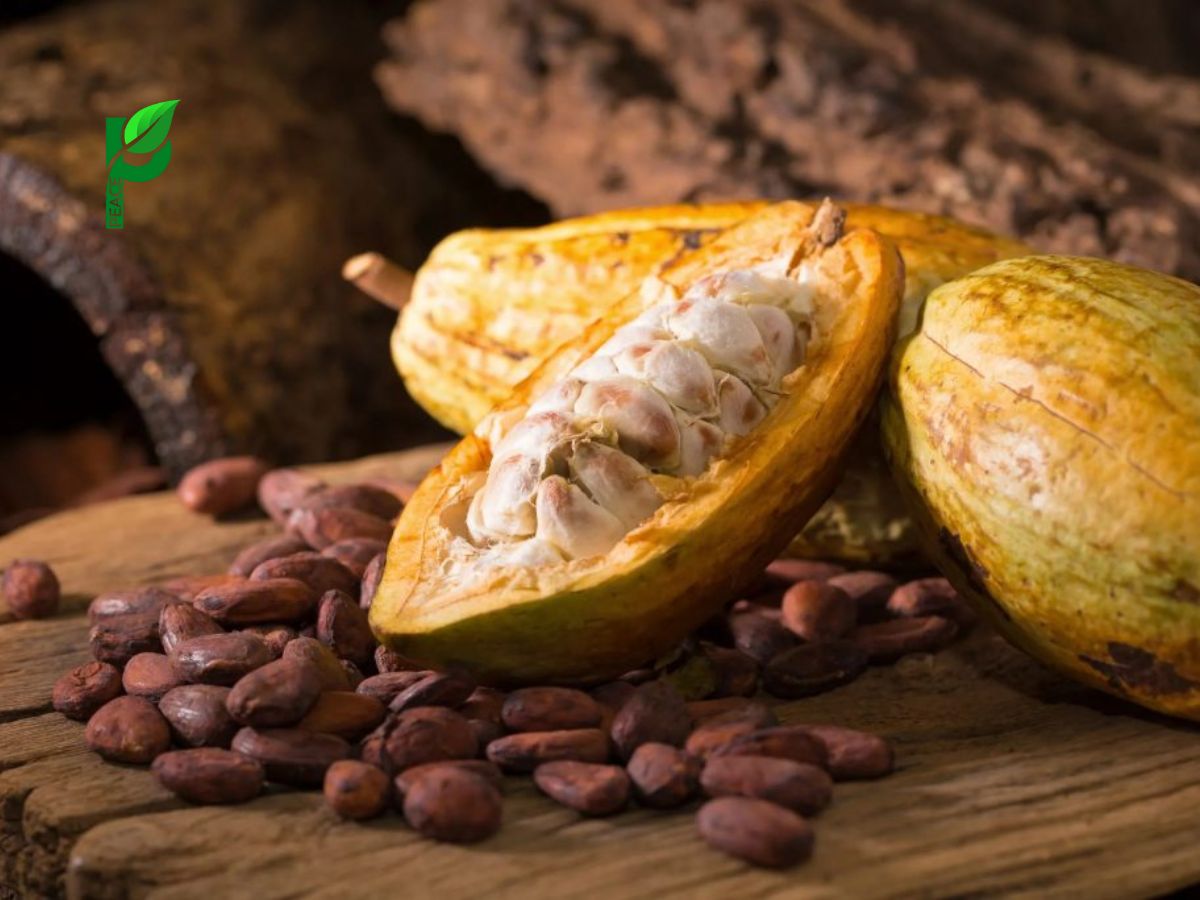 Hỗ Trợ Giảm Cân Và Kiểm Soát Cảm Giác Thèm Ăn