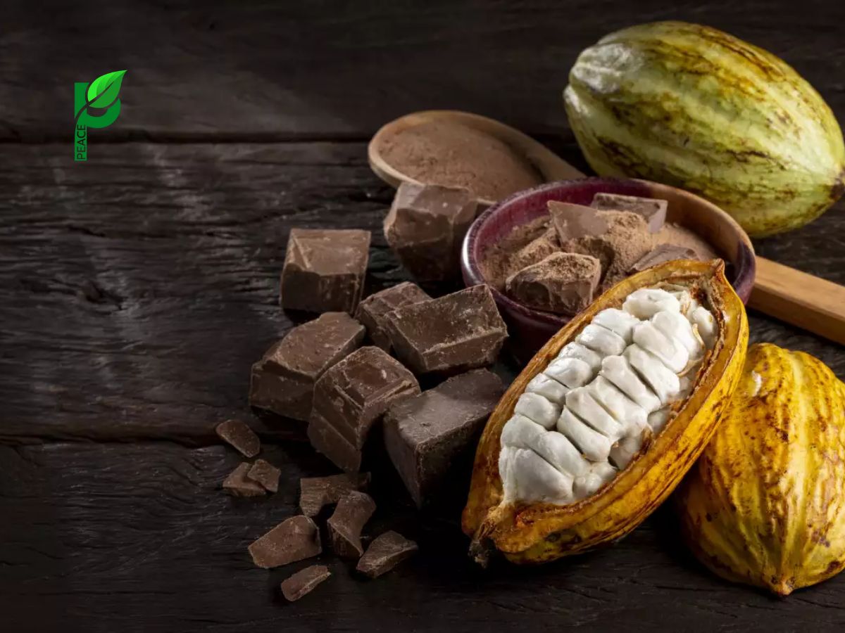 Lưu ý khi chọn mua cacao cho bé