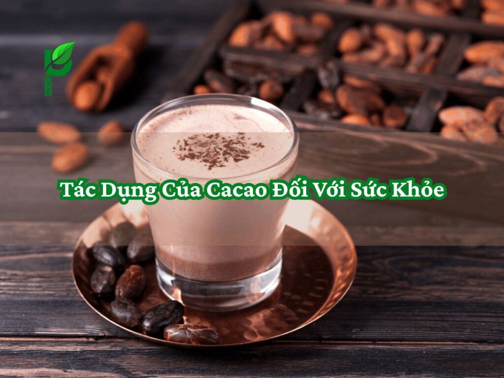 Tác Dụng Của Cacao Đối Với Sức Khỏe