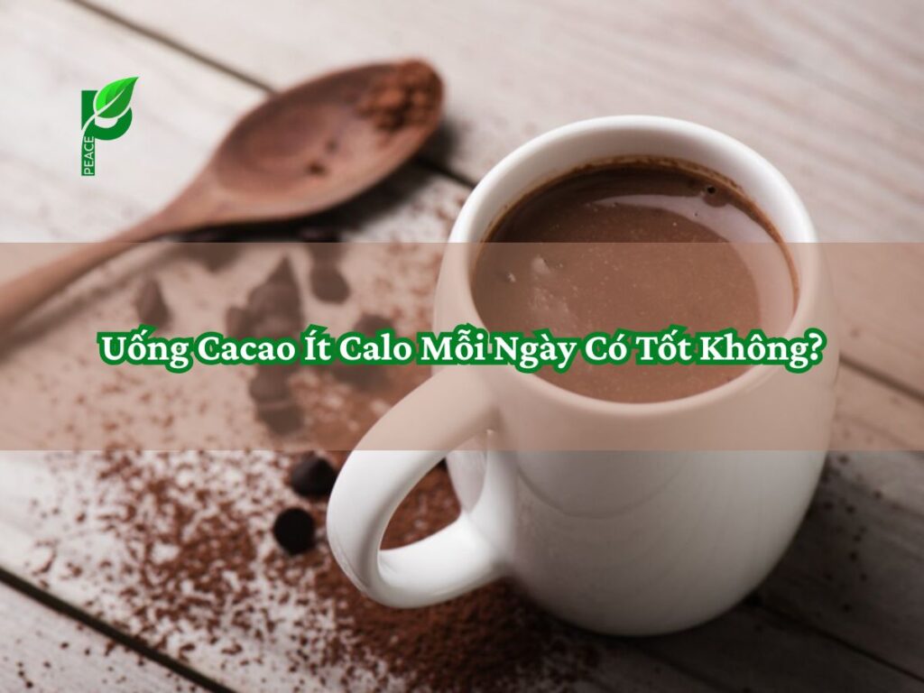 Uống Cacao Ít Calo Mỗi Ngày Có Tốt Không
