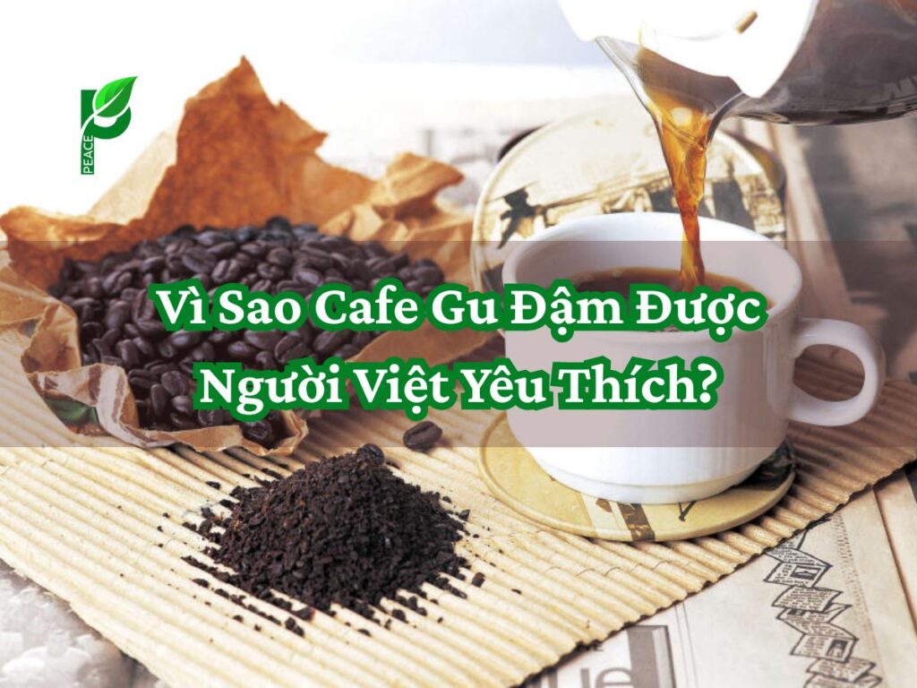 Vì Sao Cafe Gu Đậm Được Người Việt Yêu Thích