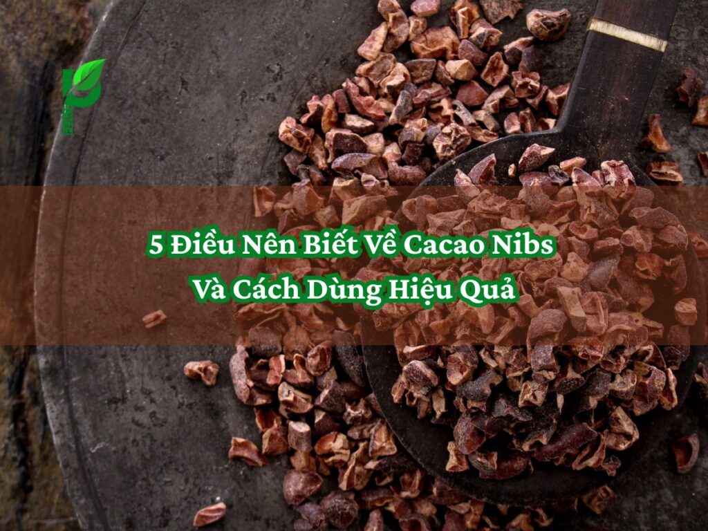 5 điều nên biết về Cacao nibs và cách dùng hiệu quả