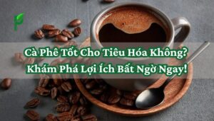 Cà Phê Tốt Cho Tiêu Hóa Không_ Khám Phá Lợi Ích Bất Ngờ Ngay!