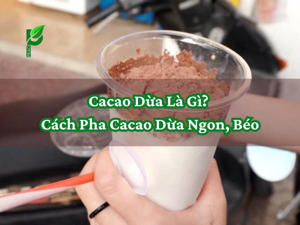 Cacao Dừa Là Gì_ Cách Pha Cacao Dừa Ngon, Béo