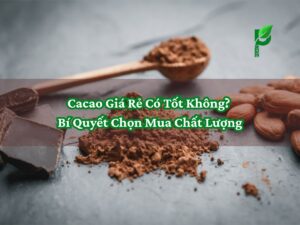 Cacao Giá Rẻ Có Tốt Không_ Bí Quyết Chọn Mua Chất Lượng