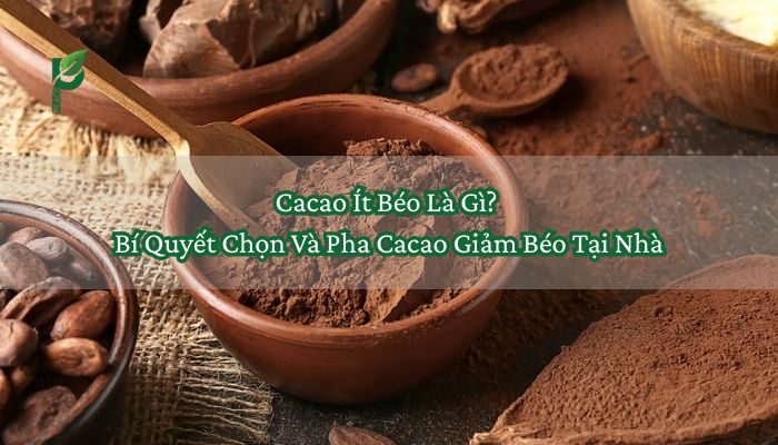 Cacao Ít Béo Là Gì Bí Quyết Chọn Và Pha Cacao Giảm Béo Tại Nhà