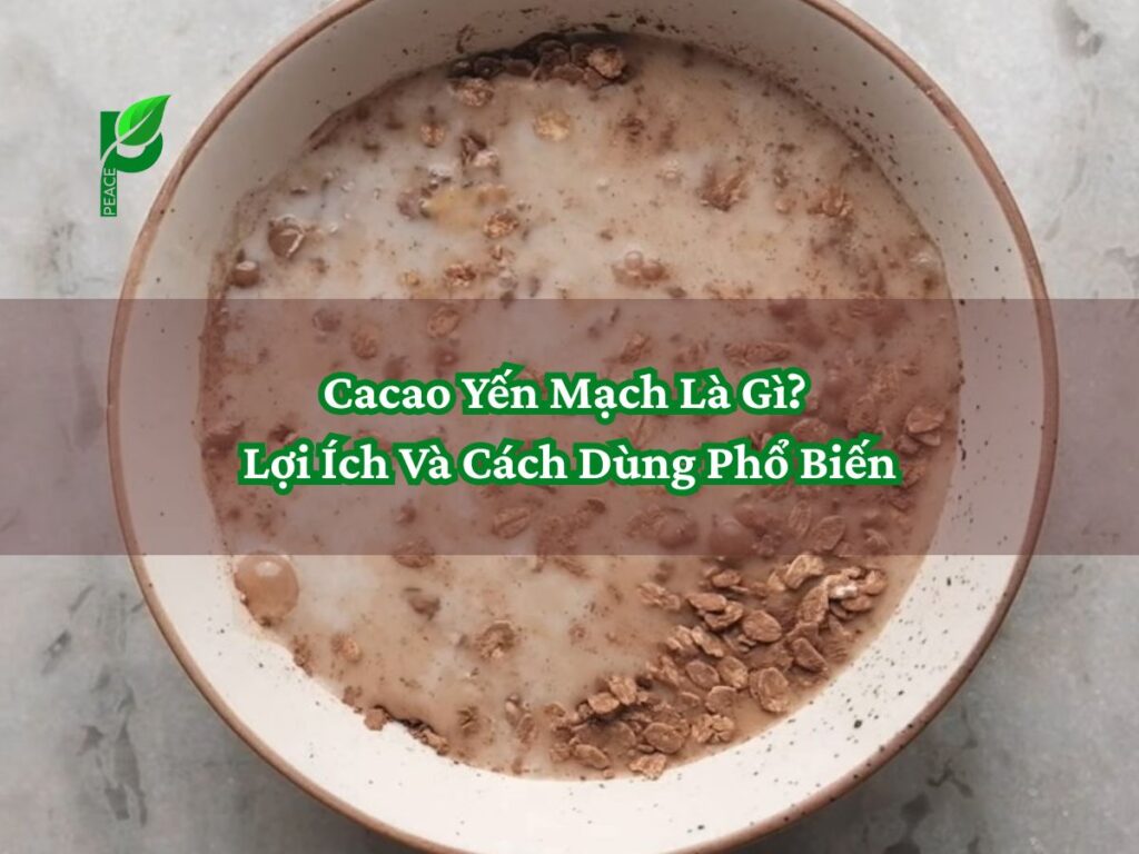 Cacao Yến Mạch Là Gì_ Lợi Ích Và Cách Dùng Phổ Biến
