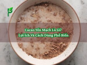 Cacao Yến Mạch Là Gì_ Lợi Ích Và Cách Dùng Phổ Biến