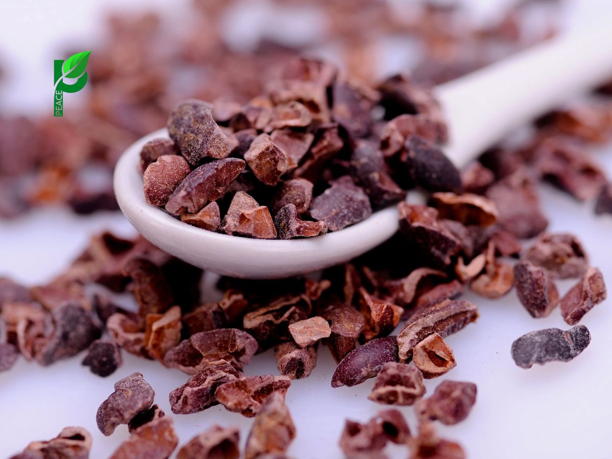 Cacao nibs