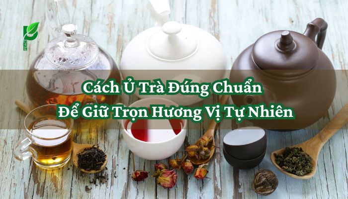 Cách Ủ Trà Đúng Chuẩn Để Giữ Trọn Hương Vị Tự Nhiên