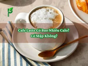 Cafe Latte Có Bao Nhiêu Calo_ Có Mập Không