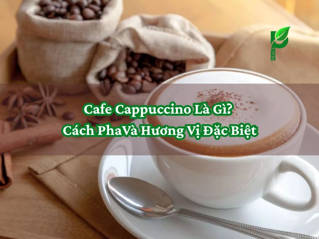 Cafe cappuccino là gì Cách pha và hương vị đặc biệt