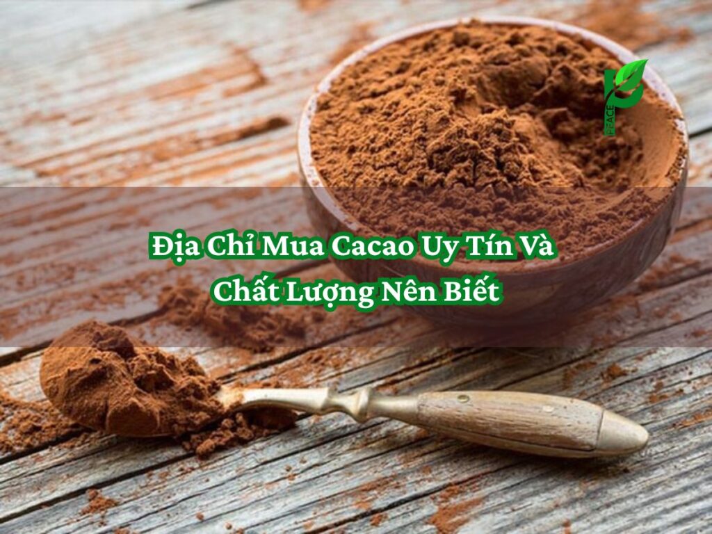 Địa Chỉ Mua Cacao Uy Tín Và Chất Lượng Nên Biết