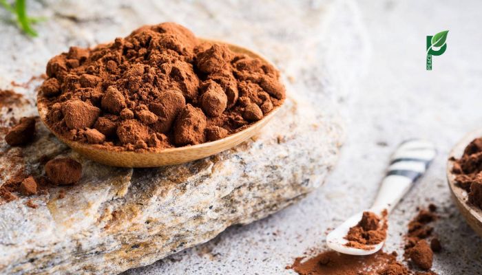 Hướng Dẫn Cách Pha Cacao Ít Béo Tại Nhà