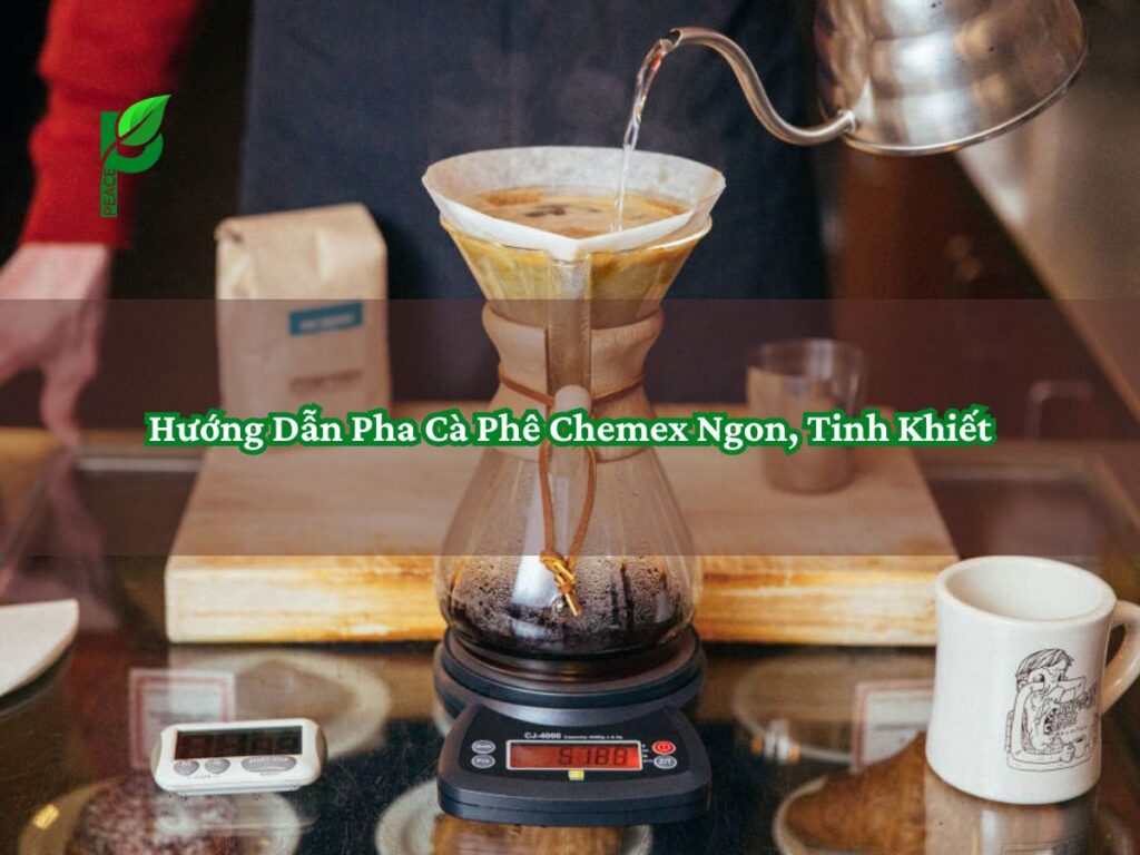 Hướng Dẫn Pha Cà Phê Chemex Ngon, Tinh Khiết