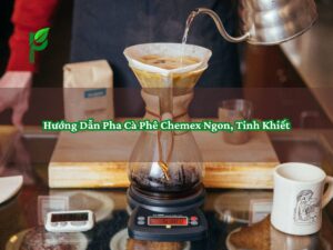 Hướng Dẫn Pha Cà Phê Chemex Ngon, Tinh Khiết