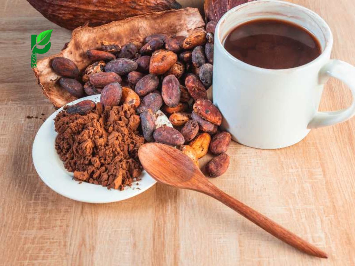 Hướng dẫn cách pha cacao cho người già