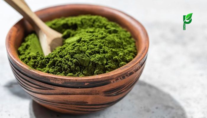 Matcha organic sấy lạnh