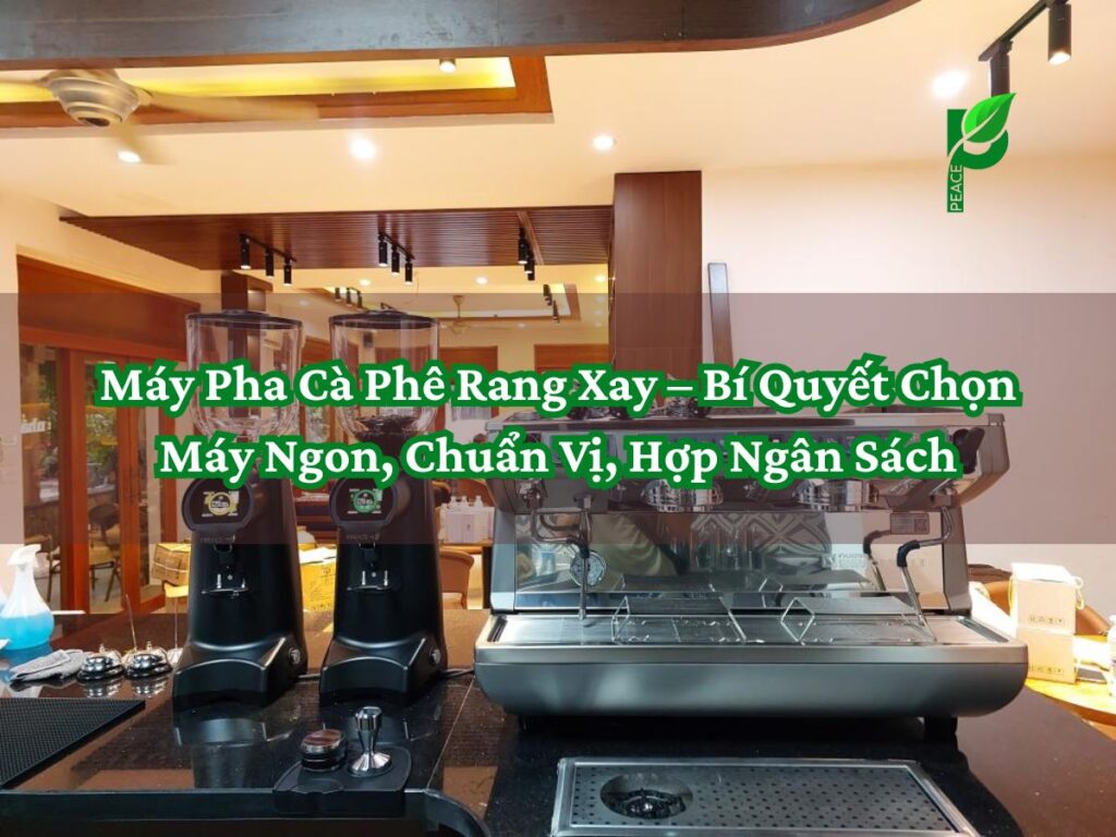 Máy Pha Cà Phê Rang Xay – Bí Quyết Chọn Máy Ngon, Chuẩn Vị, Hợp Ngân Sách