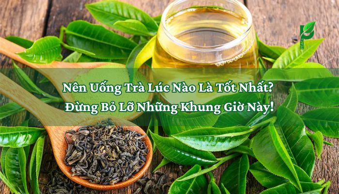 Nên Uống Trà Lúc Nào Là Tốt Nhất_ Đừng Bỏ Lỡ Những Khung Giờ Này!