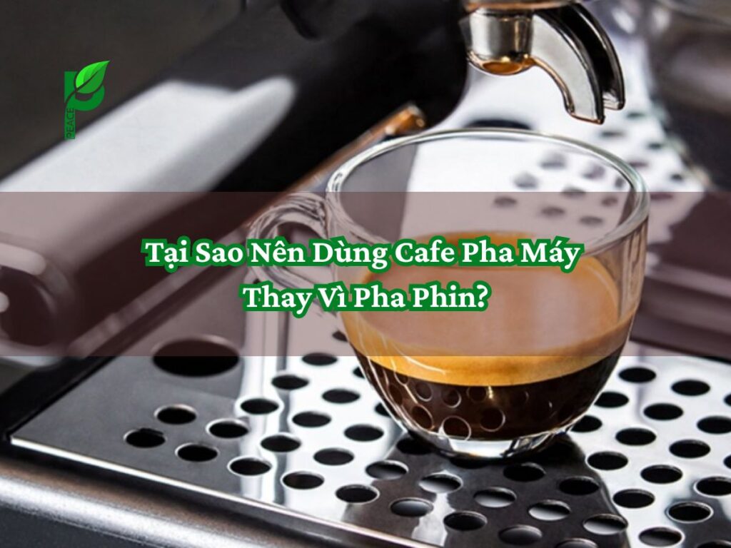Tại Sao Nên Dùng Cafe Pha Máy Thay Vì Pha Phin